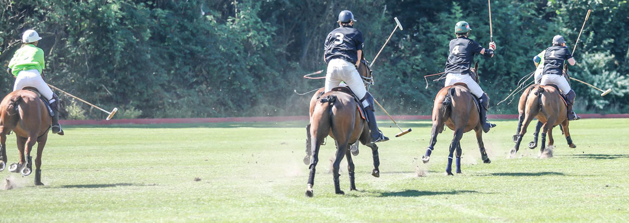 Tp polo